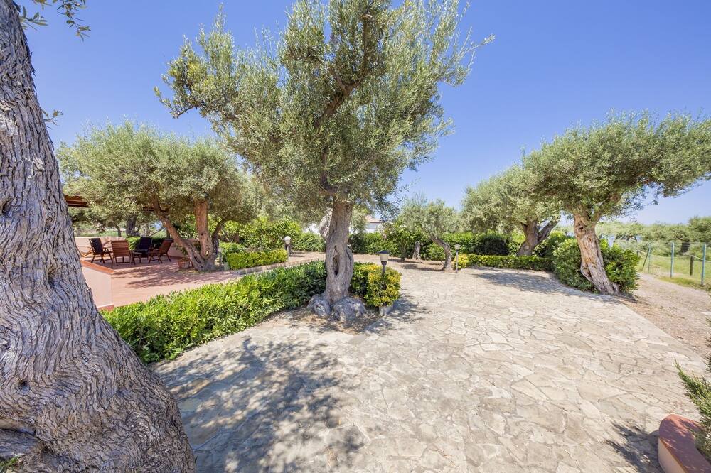 Photo of Outdoor in Capo