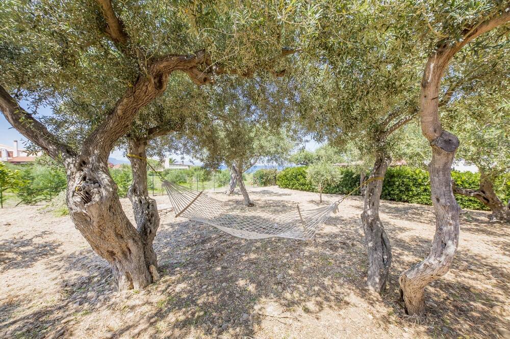 Photo of Outdoor in Capo