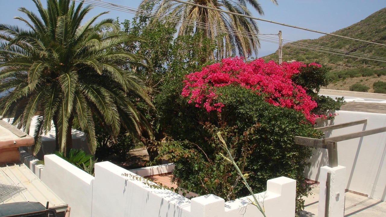 Photo of Outdoor in Malfa