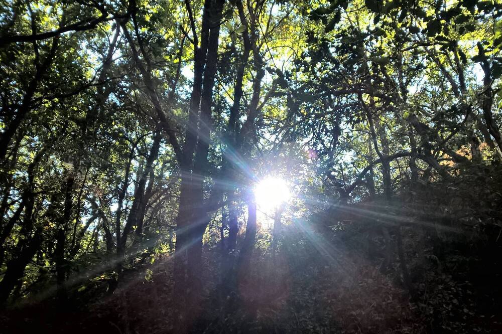 Photo of Outdoor in Rovittello