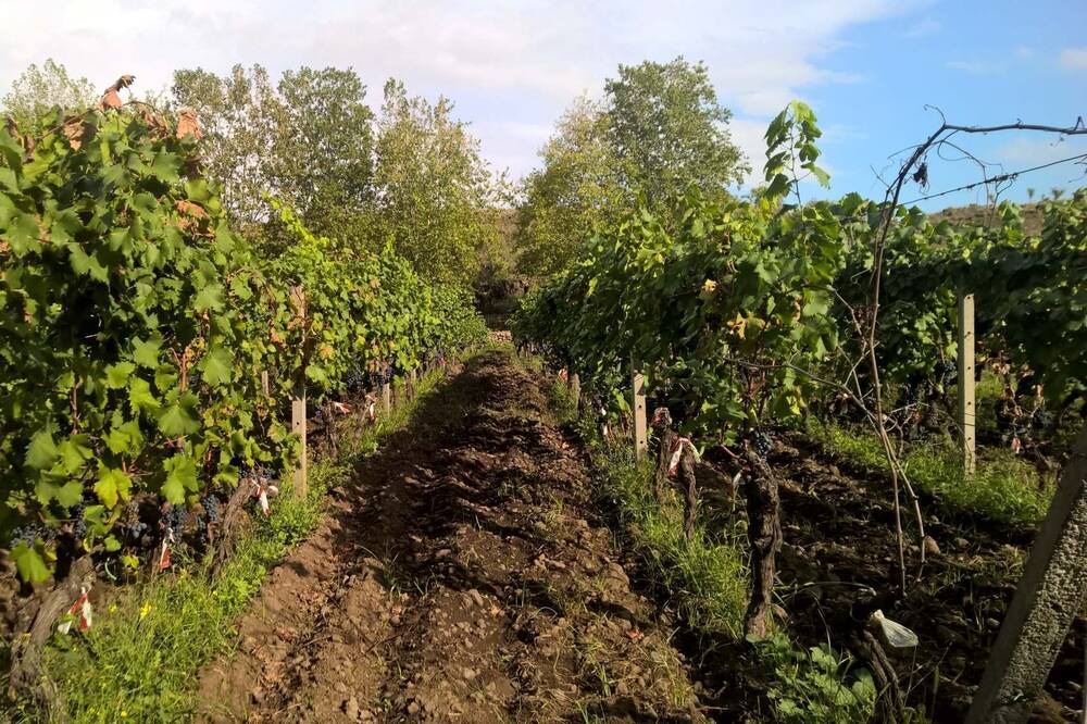 Photo of Outdoor in Rovittello