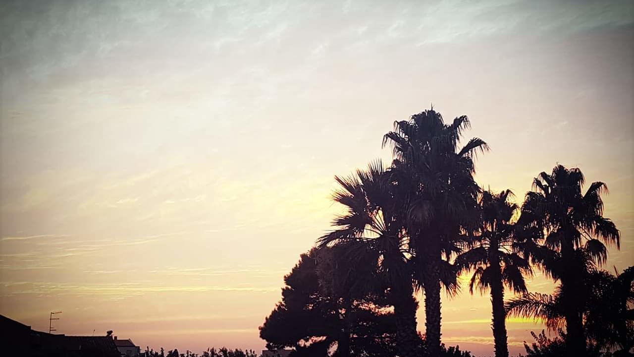 Photo of Outdoor in Nubia