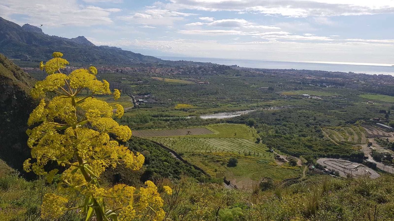 Photo of Outdoor in Calatabiano