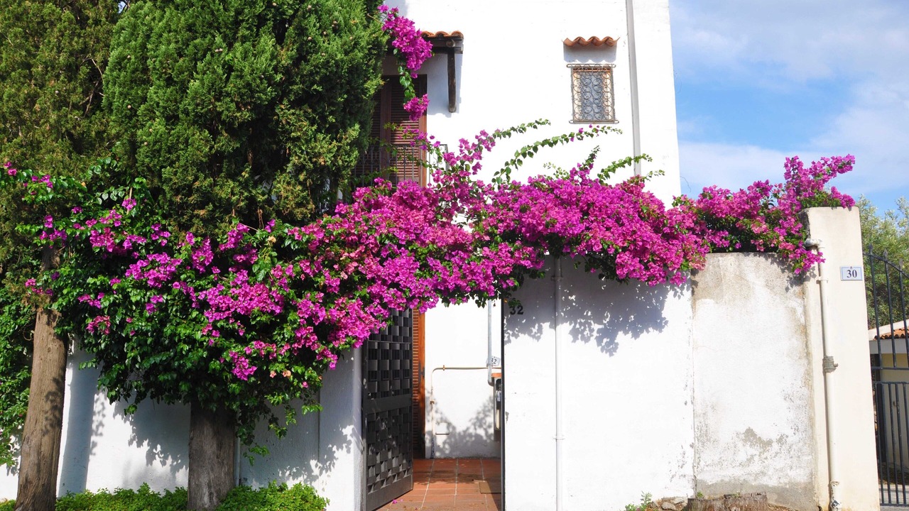 Photo of Outdoor in Milazzo