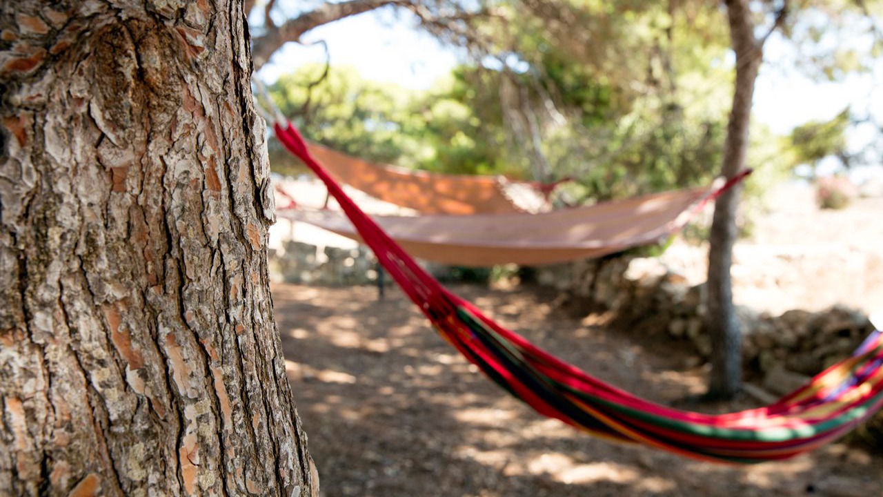 Photo of Outdoor in Favignana