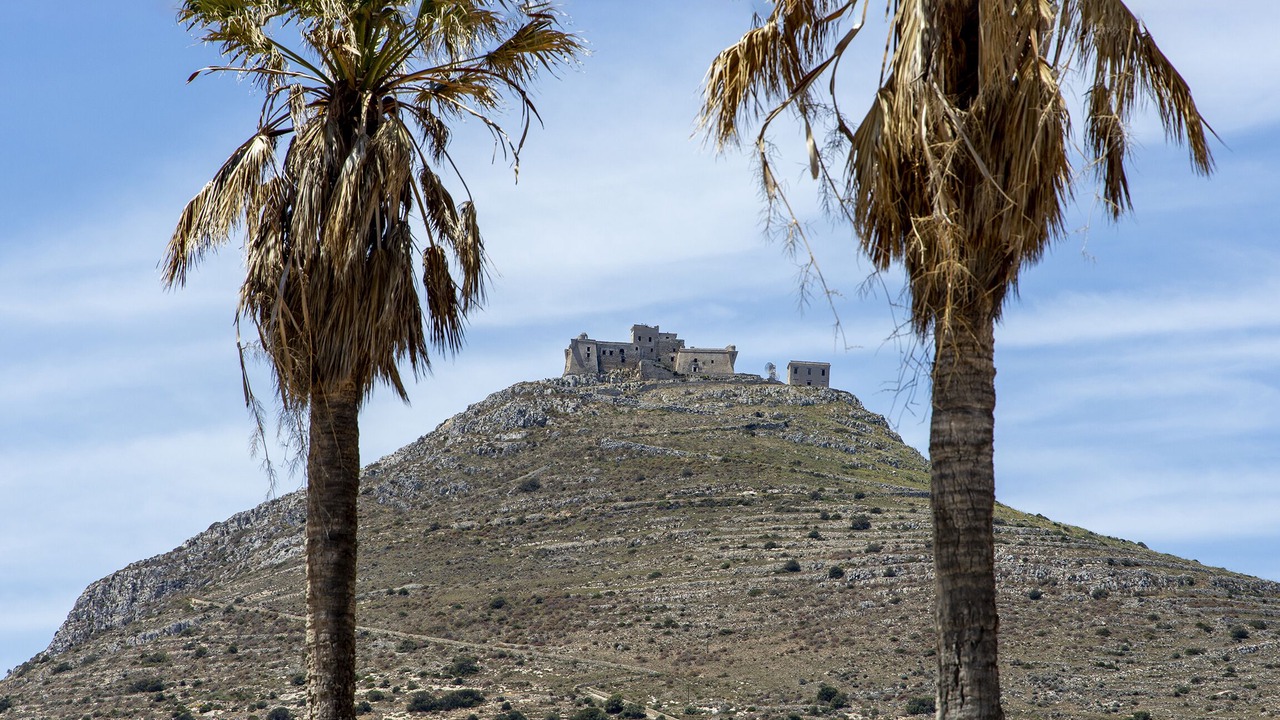 Photo of Others in Favignana