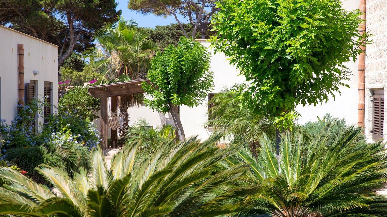 Photo of Outdoor in Favignana
