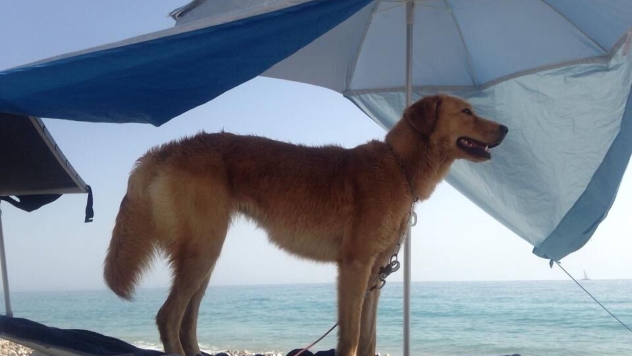 Photo of Outdoor in Sciacca