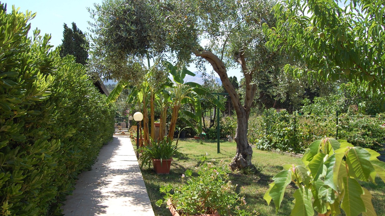Photo of Outdoor in Piane Vecchie