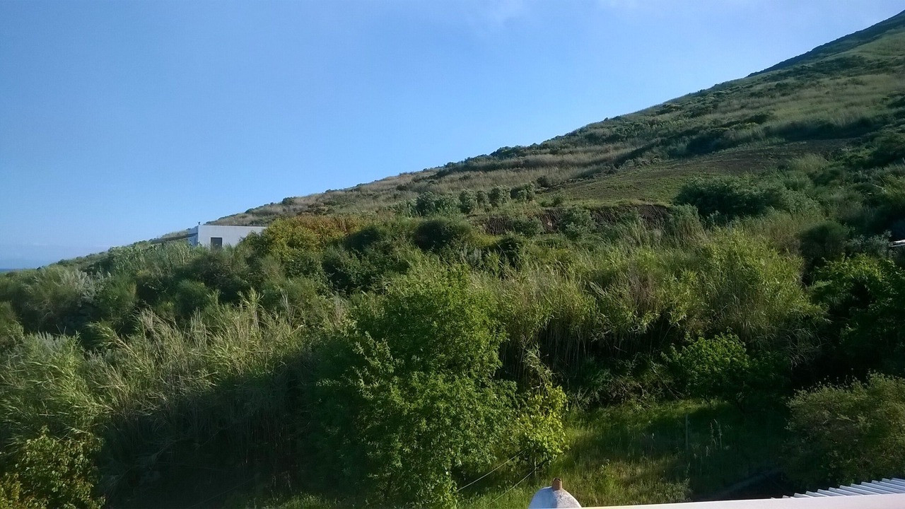 Photo of Others in San Vincenzo