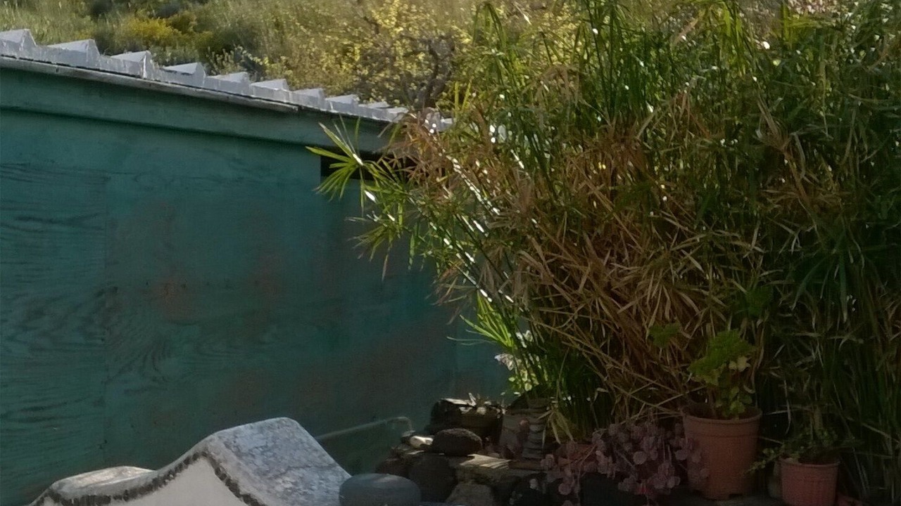 Photo of Outdoor in San Vincenzo