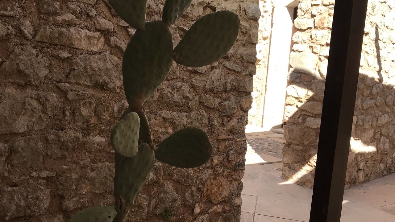 Photo of Outdoor in Chiusa Cavalli