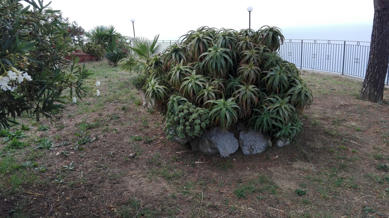 Photo of Outdoor in Cefalu