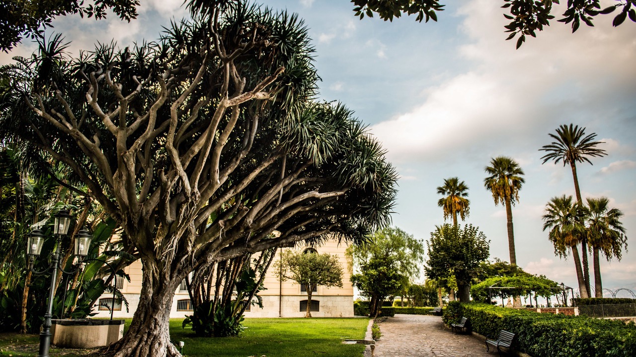 Photo of Outdoor in Mili San Pietro