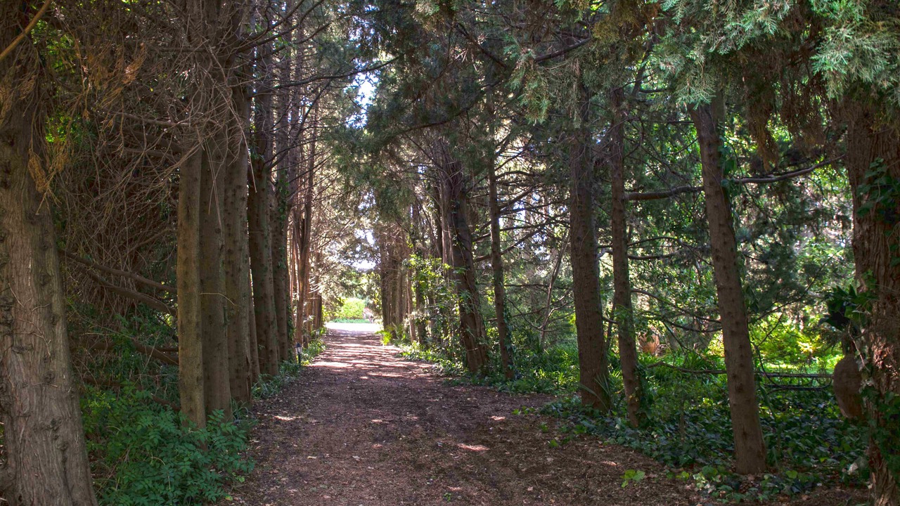 Photo of Outdoor in Mascalucia