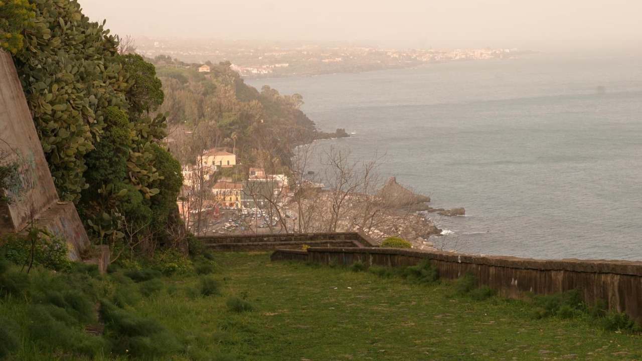 Photo of Others in Acireale