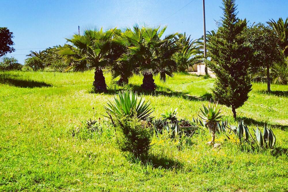 Photo of Outdoor in Granelli