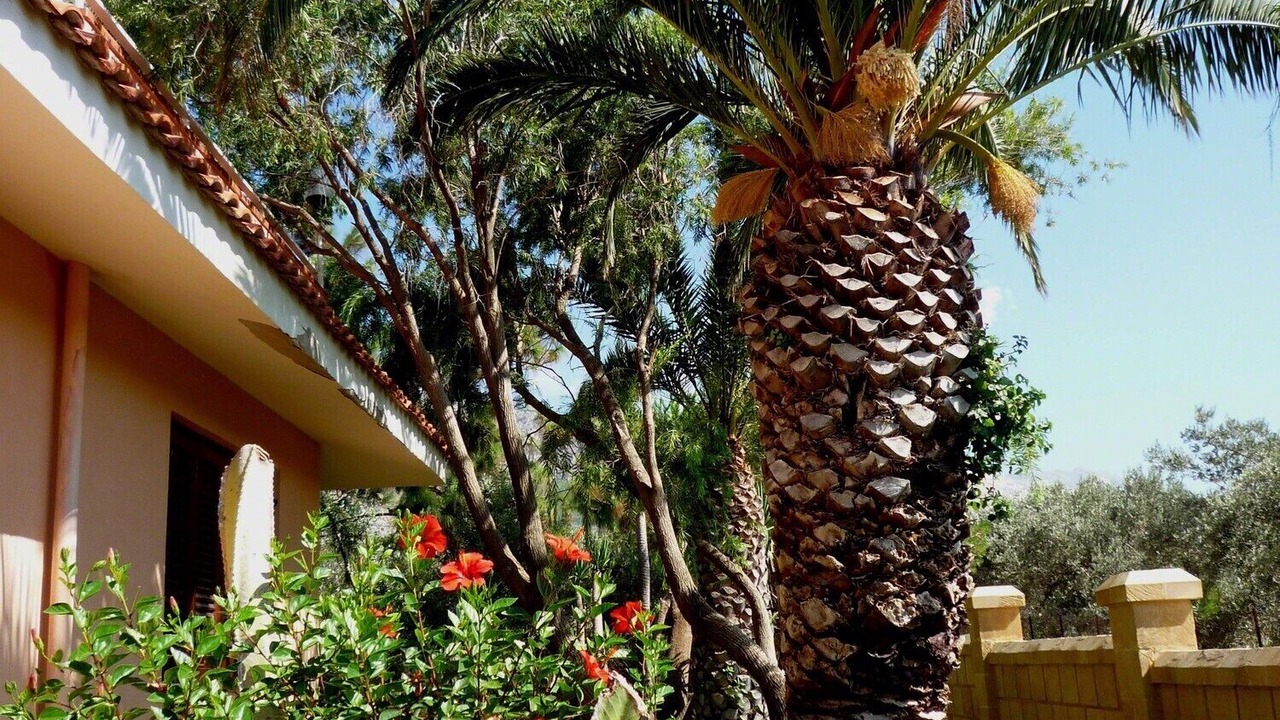 Photo of Outdoor in Capaci