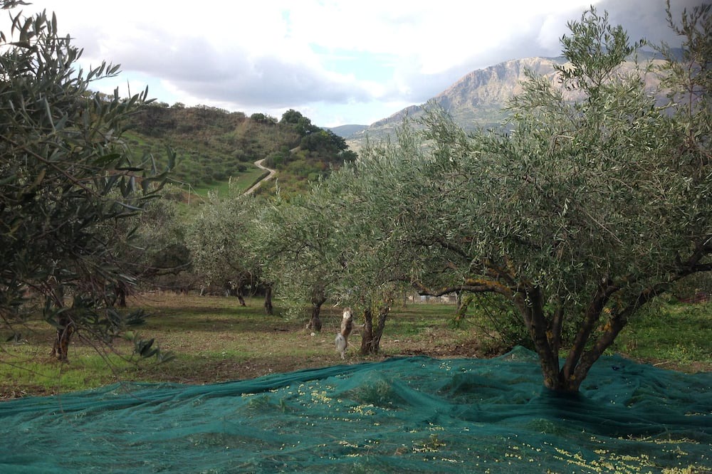Photo of Others in Termini Imerese