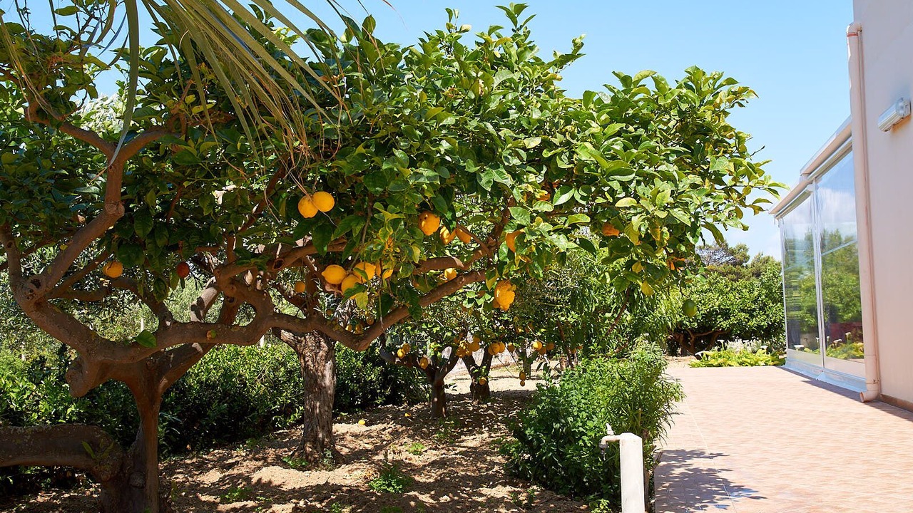 Photo of Outdoor in Nubia