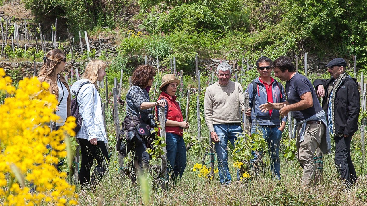 Photo of Outdoor in Montargano