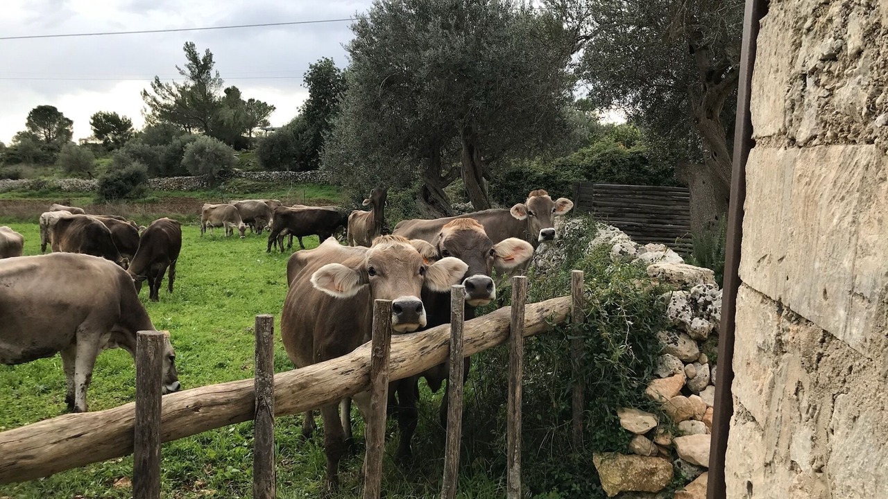 Photo of Outdoor in Noto