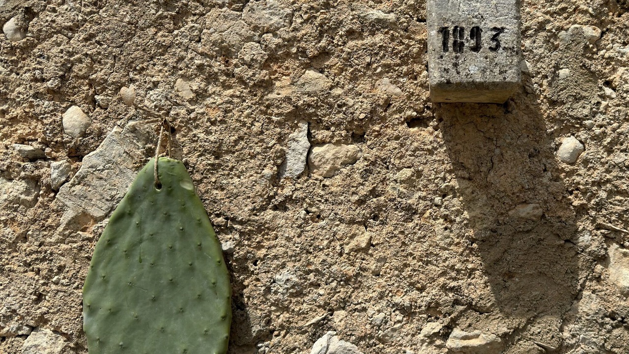 Photo of Others in Noto