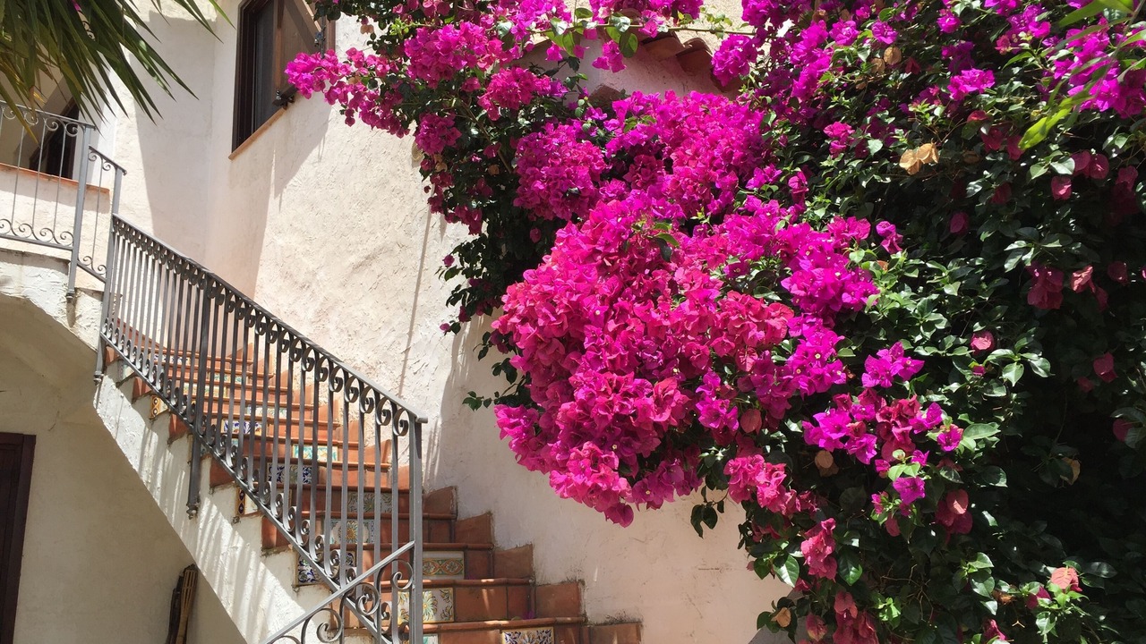 Photo of Outdoor in Ribera
