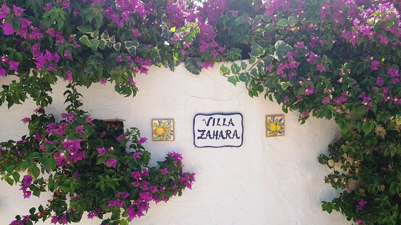 Photo of Outdoor in Ribera