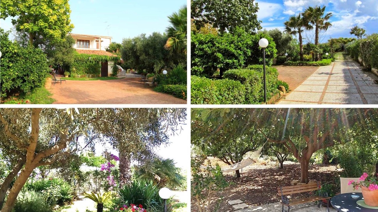 Photo of Outdoor in Ribera