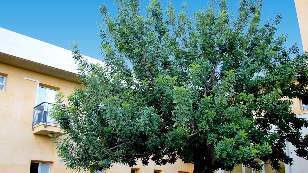 Photo of Outdoor in Solarino
