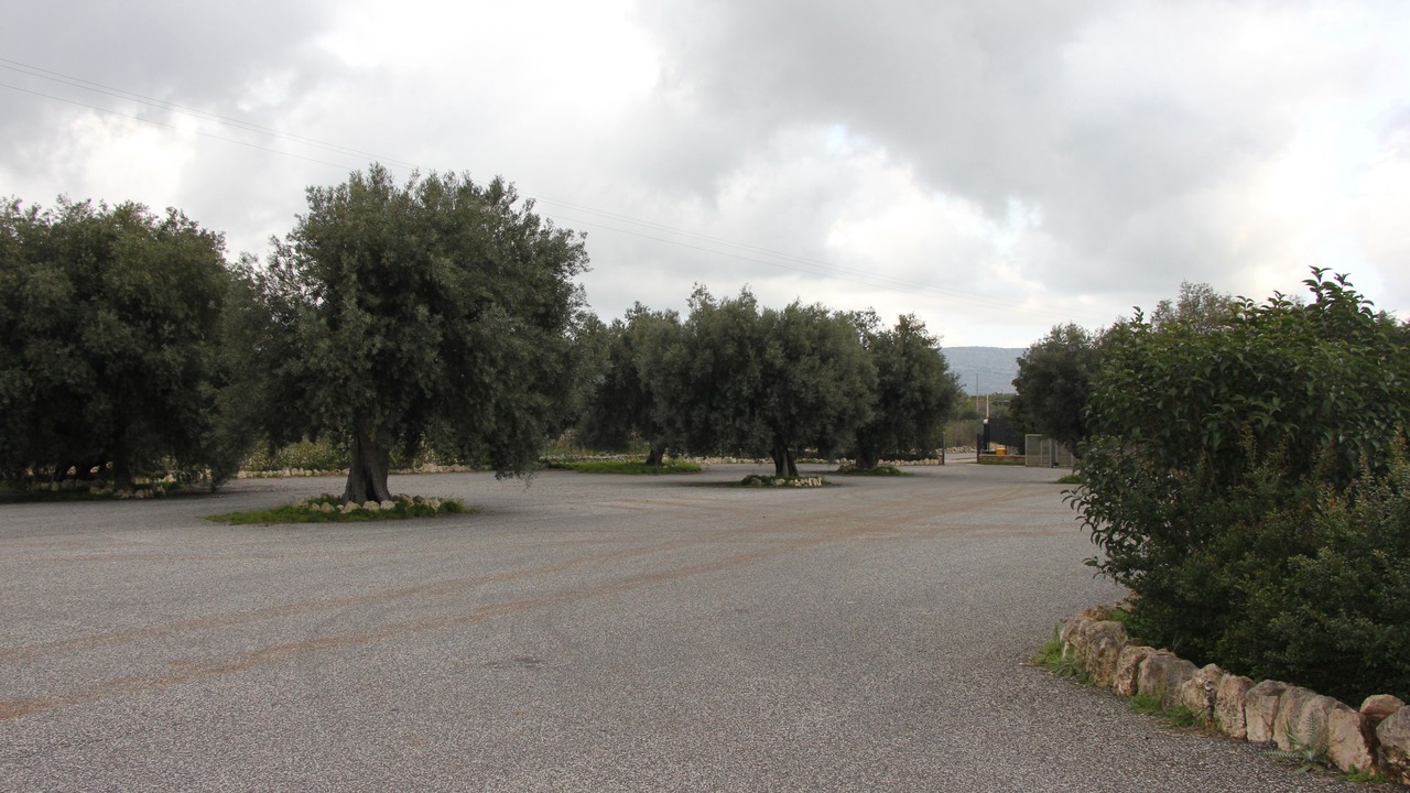 Photo of Others in Solarino