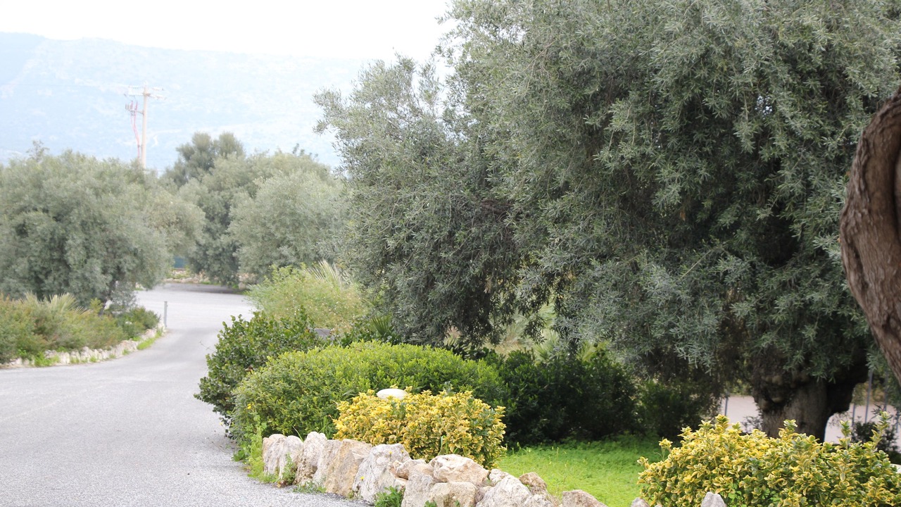 Photo of Outdoor in Solarino