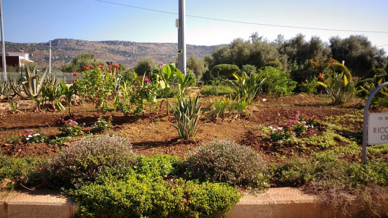 Photo of Outdoor in Solarino