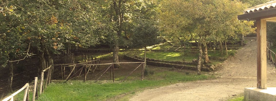 Photo of Outdoor in San Fratello