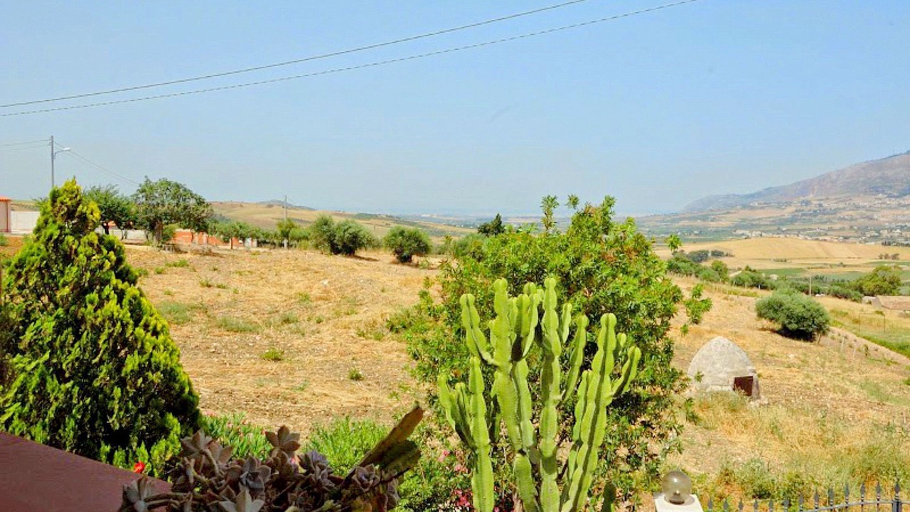 Photo of Outdoor in Mockarta