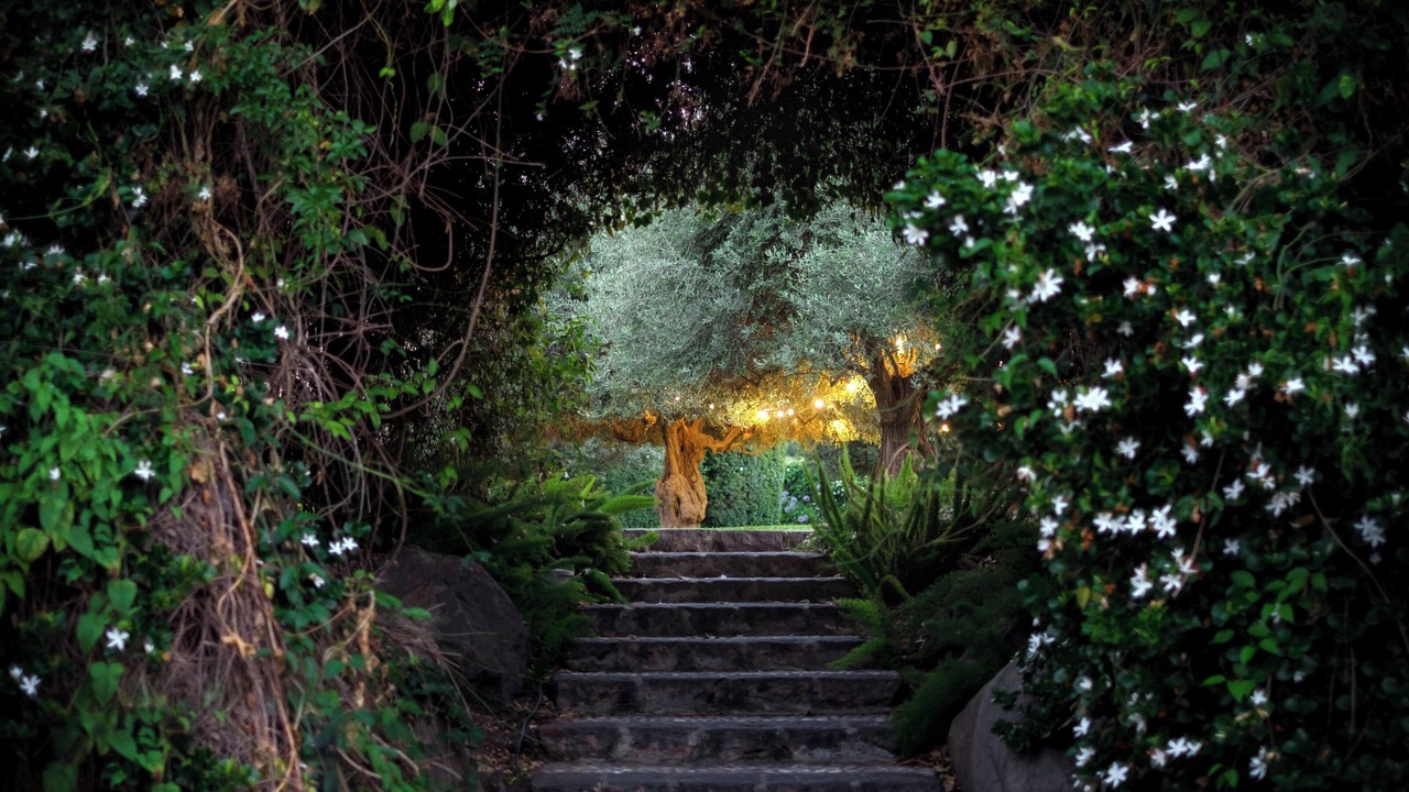 Photo of Outdoor in Riposto