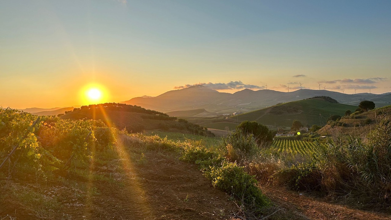 Photo of Outdoor in Alcamo
