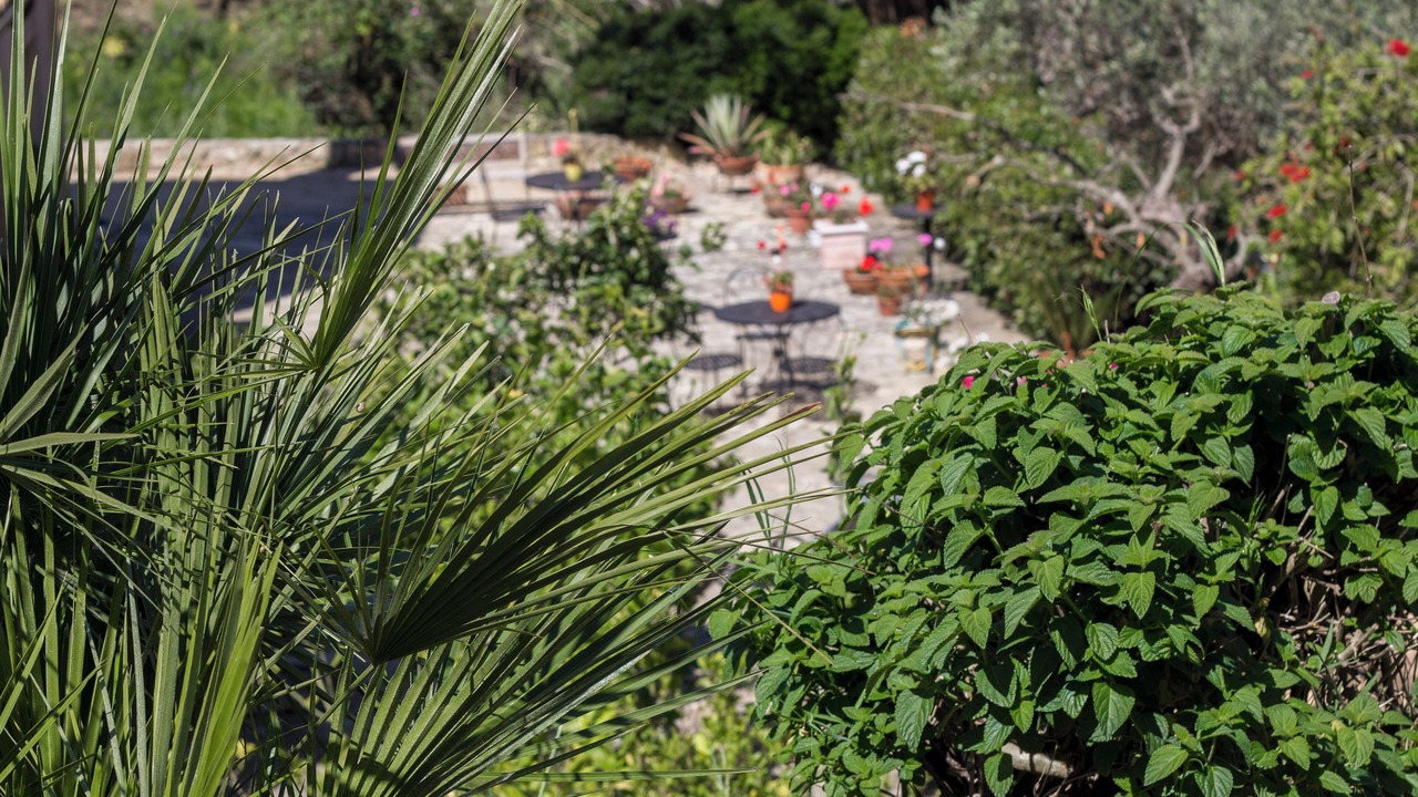 Photo of Outdoor in Alcamo