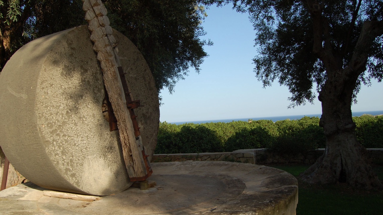 Photo of Others in Avola