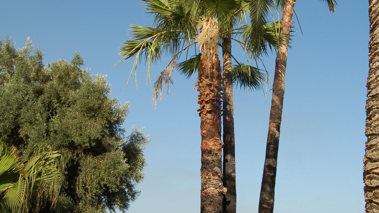 Photo of Outdoor in Avola