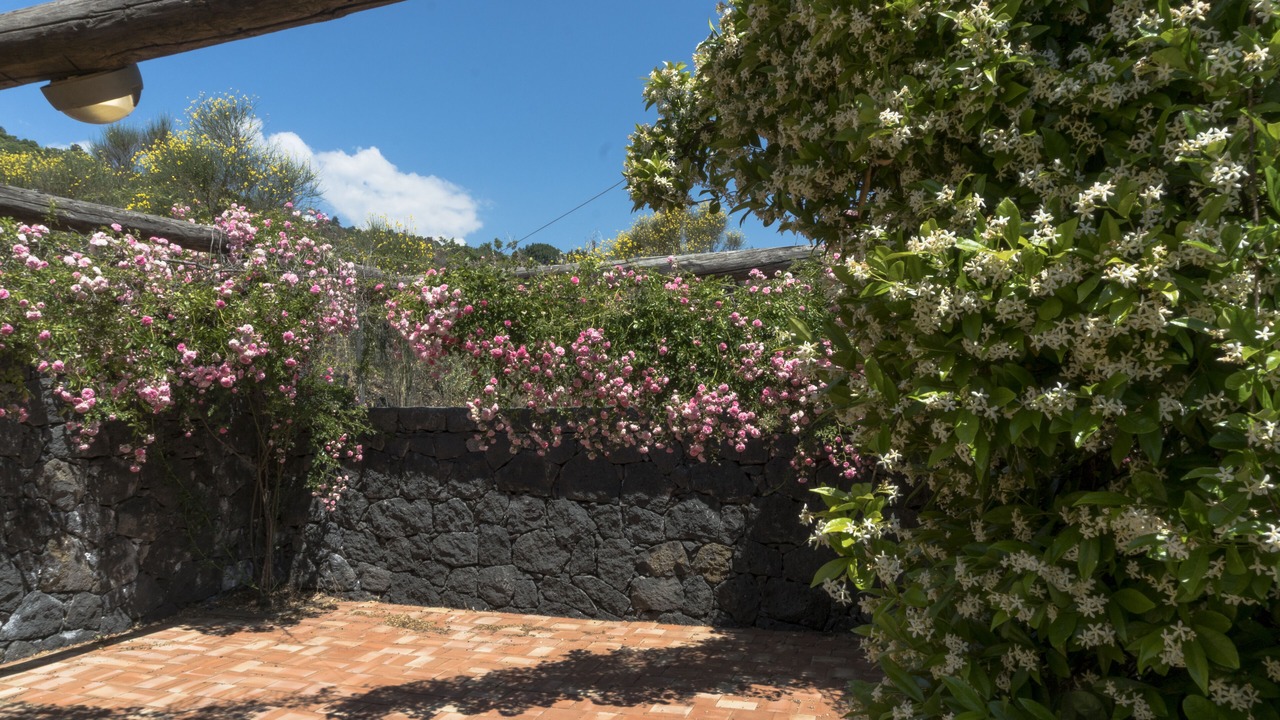 Photo of Bedroom in Mascali