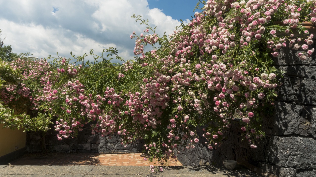 Photo of Bedroom in Mascali