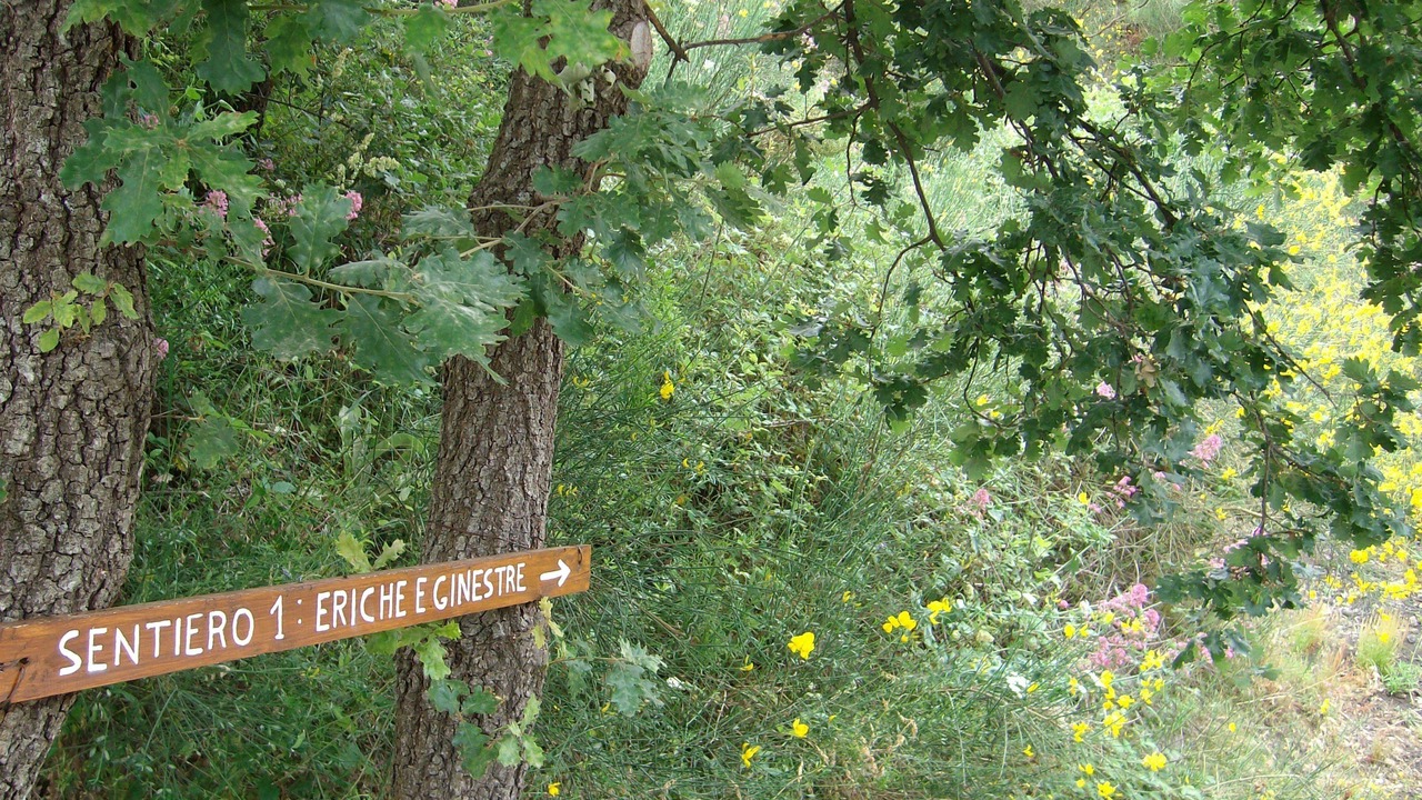 Photo of Outdoor in Mascali