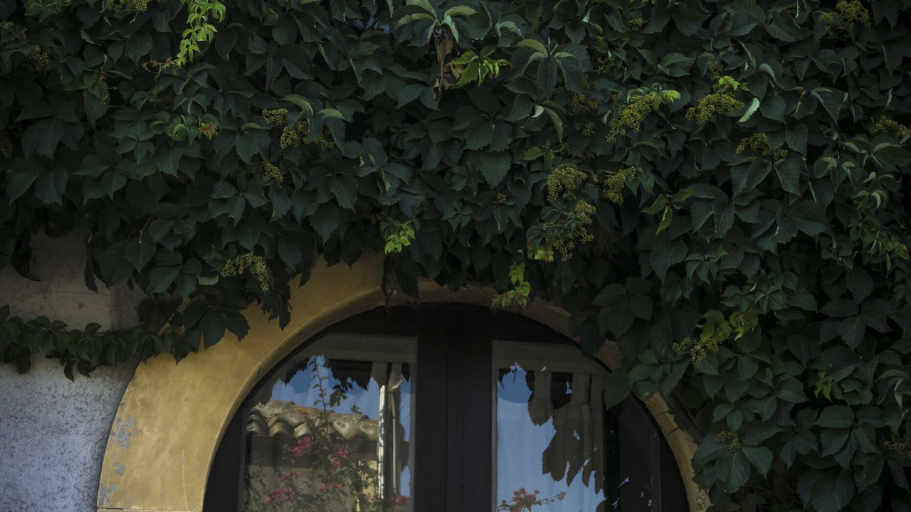 Photo of Outdoor in San Giorgio-Librino-San Giuseppe la Rena-Zia Lisa-Villaggio Sant'Agata