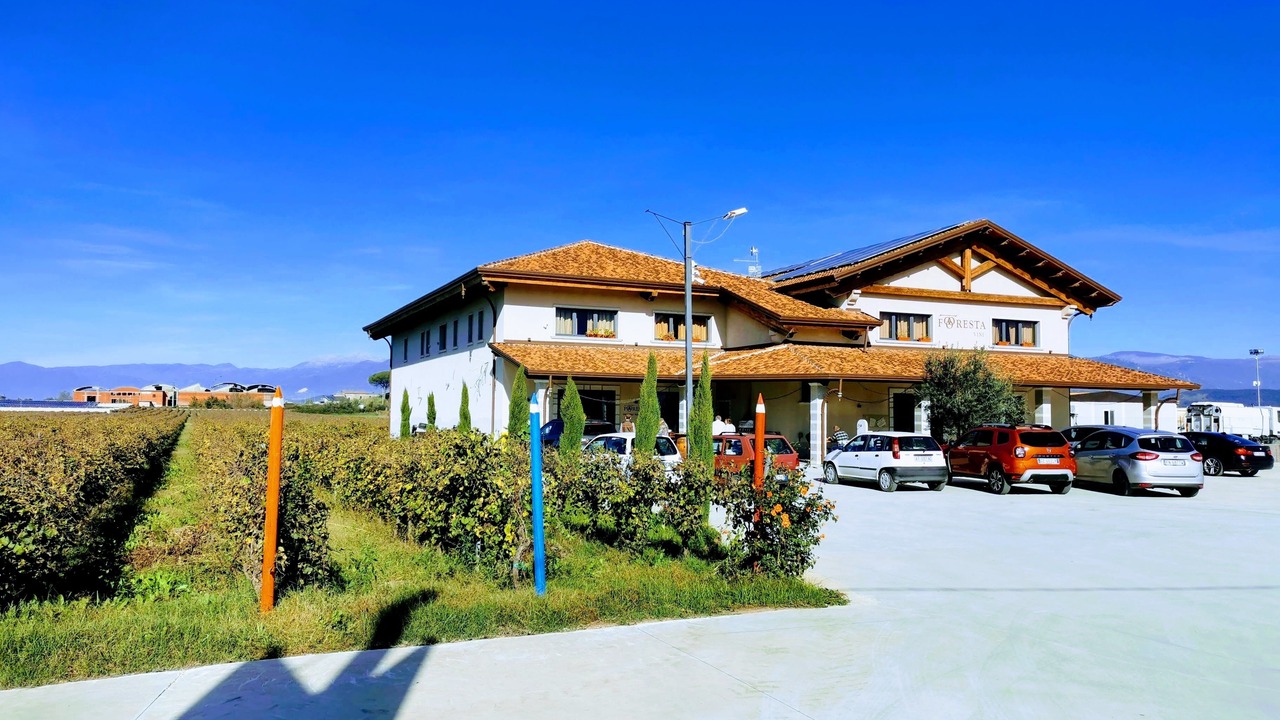 Photo of Outdoor in Telese