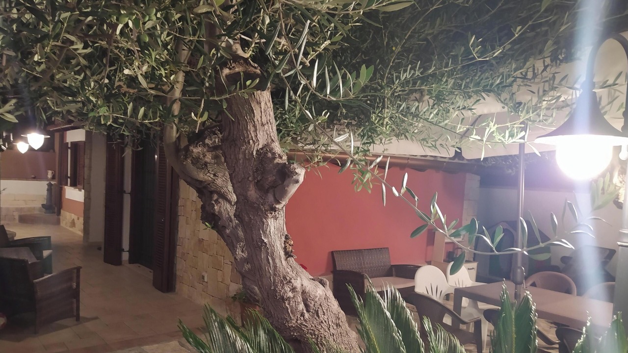 Photo of Outdoor in Bisceglie