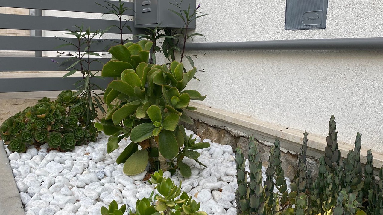 Photo of Outdoor in Carini