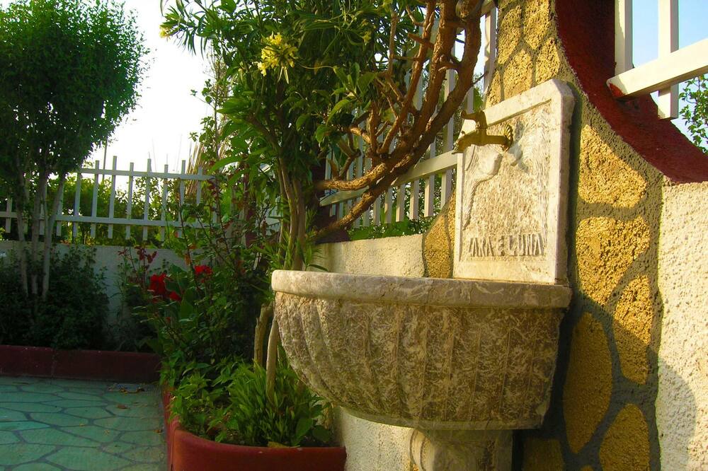 Photo of Outdoor in Torrenova