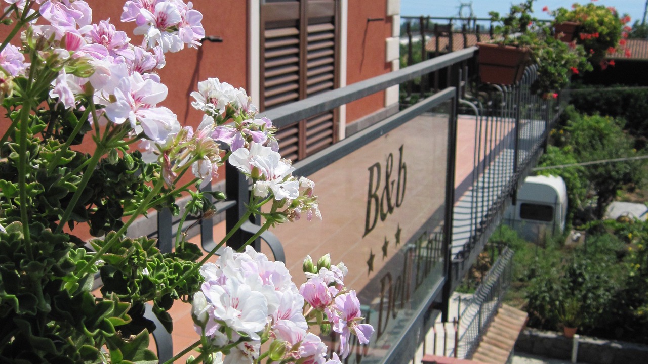 Photo of Outdoor in Santa Venerina